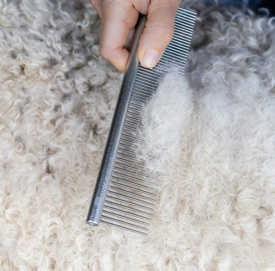 MIKKI Doodle Grooming Kit met Kam en Slickerborstel – Ergonomisch