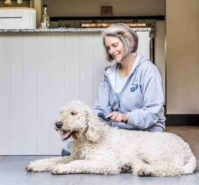 MIKKI Doodle Grooming Kit met Kam en Slickerborstel – Ergonomisch