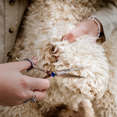 MIKKI Doodle Schaar 14 cm – Kop en Poten Trim Schaar