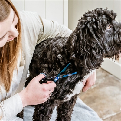 MIKKI Effileerschaar Enkel Doodle 16,5 cm – Ergonomisch Design