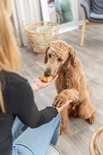 TRIXIE Kauwsnack Denta Fun Twists Collageen - Ondersteunt gewrichten, huid & vacht - Kip - 2 st | 85 g