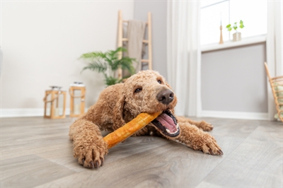 TRIXIE Hondensnack Denta Fun Roll - Collageen met kip | Ondersteunt gewrichten, huid & vacht - Glutenvrij - 165 g