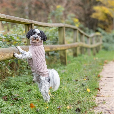 TRIXIE Hondentrui Norwood Warm met ruime beenuitsnijding | Blush - 27 cm