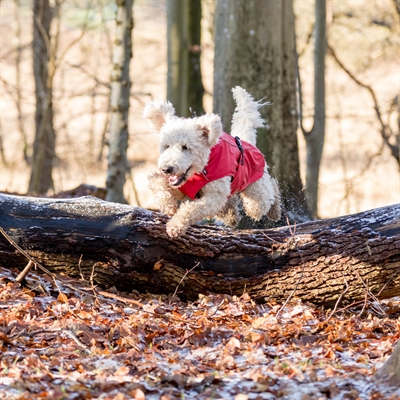 Trixie Regenjas Hond Vimy Rood 62×BUIK 78-82 cm – Waterdicht