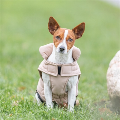 TRIXIE Hondenjas Lesmont waterafstotend, gevoerd - Blush - 24 cm