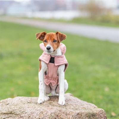 TRIXIE Hondenjas Lesmont Waterafstotend, gewatteerd met verstelbare borstflap - Abrikoos - 40 cm