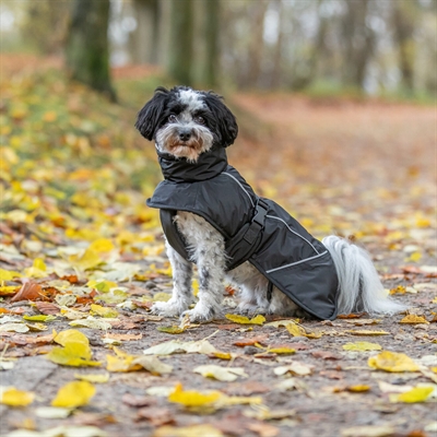 TRIXIE HONDENJAS WINTER BRIZON ZWART