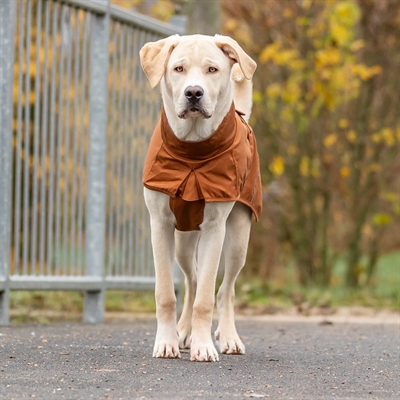 TRIXIE Regenjas Hond Dublin 50 cm – Roestkleurig Waterdicht