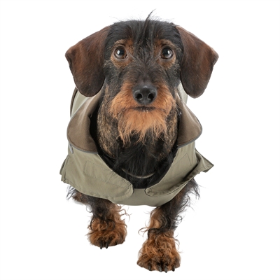 TRIXIE Hondenjas Hermy Waterafstotend met uitneembare voering - Olijfgroen - 33 cm