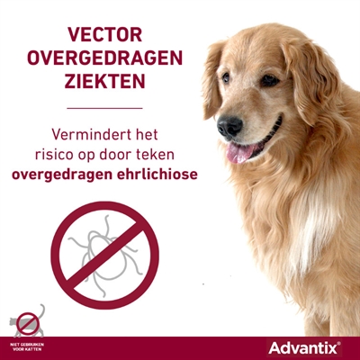 ELANCO Vlooien- en tekenmiddel Advantix Spot On 600/3000 - Doodt vlooien, teken & luizen binnen 24u - voor honden >40 kg - 4 pipetten