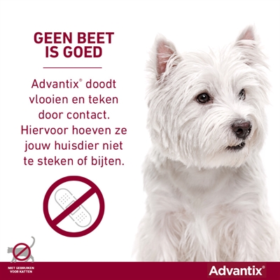 ELANCO Vlooien- en tekenmiddel Advantix Spot On 600/3000 - Doodt vlooien, teken & luizen binnen 24u - voor honden >40 kg - 4 pipetten