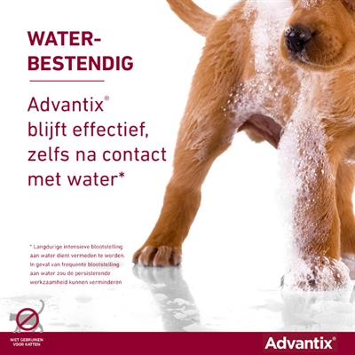 ELANCO Vlooien- en tekenmiddel Advantix Spot On 600/3000 - Doodt vlooien, teken & luizen binnen 24u - voor honden >40 kg - 4 pipetten