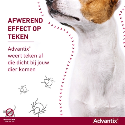 ELANCO Vlooien- en tekenmiddel Advantix Spot On 600/3000 - Doodt vlooien, teken & luizen binnen 24u - voor honden >40 kg - 4 pipetten