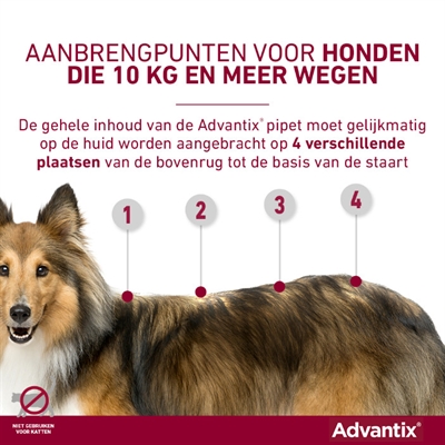ELANCO Vlooien- en tekenmiddel Advantix Spot On 600/3000 - Doodt vlooien, teken & luizen binnen 24u - voor honden >40 kg - 4 pipetten