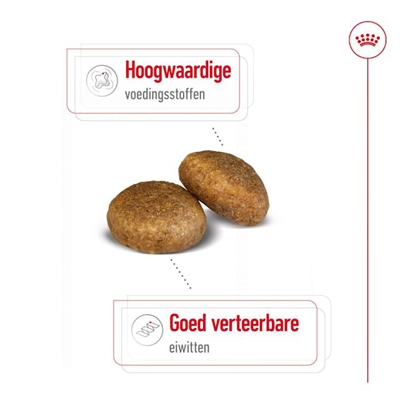 ROYAL CANIN hondenbrokken Maxi Adult 15 KG – voor grote honden