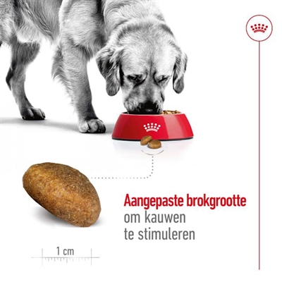 ROYAL CANIN hondenbrokken Maxi Adult 15 KG – voor grote honden