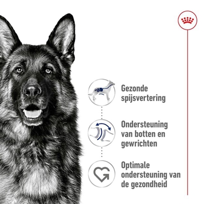 ROYAL CANIN Hondenbrokken MAXI ADULT 4 KG – Grote hondenvoer