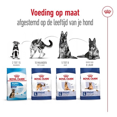 ROYAL CANIN Hondenbrokken MAXI ADULT 4 KG – Grote hondenvoer