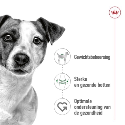ROYAL CANIN Hondenvoer Mini Adult voor kleine honden (<10 kg), hoog energiegehalte & goed verteerbaar - 4 kg