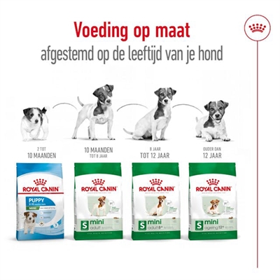ROYAL CANIN Hondenvoer Mini Adult voor kleine honden (<10 kg), hoog energiegehalte & goed verteerbaar - 4 kg