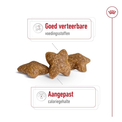 ROYAL CANIN hondenbrokken MINI ADULT 8 KG – voor kleine honden