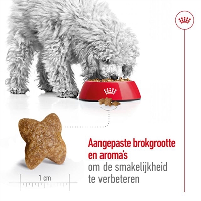 ROYAL CANIN hondenbrokken MINI ADULT 8 KG – voor kleine honden