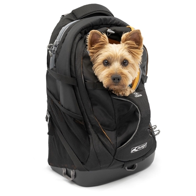 KURGO hondenrugzak G-Train Zwart 41,3×22,9×50,2 cm – voor honden tot 11 kg
