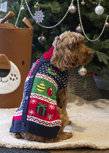 CUPID & COMET CHRISTMAS EVE GIFT PACK MET TRUI / SPEELTJE / SNACKS