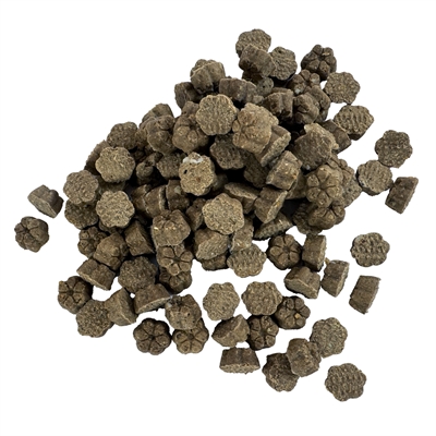 DOG TREATZ Koektrainer Lam/Appel 2,5 kg – Graanvrij Hondenkoekjes