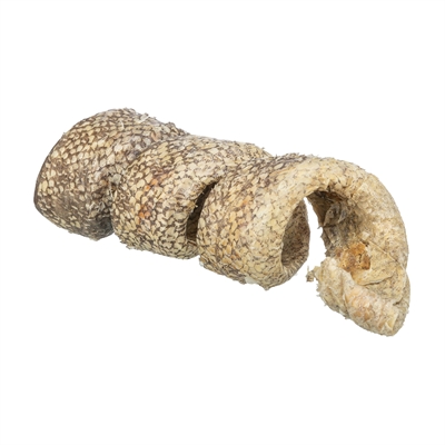 TRIXIE Kauwsnack Denta Fun Curl Wokkel Met Kabeljauw | Ondersteunt gebitsverzorging - 12 cm - 25 g (50 st)