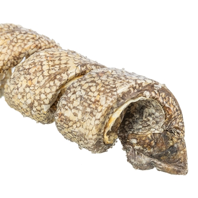 TRIXIE Kauwsnack Denta Fun Curl Wokkel Met Kabeljauw | Ondersteunt gebitsverzorging - 12 cm - 25 g (50 st)