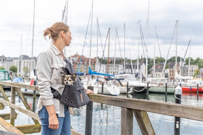 TRIXIE Hondentas Rugtas Bjorn Zwart 35×20 cm – Multifunctioneel