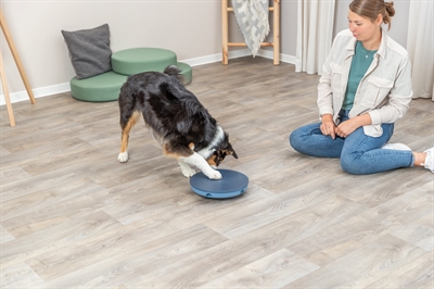 TRIXIE hondenactiviteit Rocking Maze 28×28 cm – Kunststof