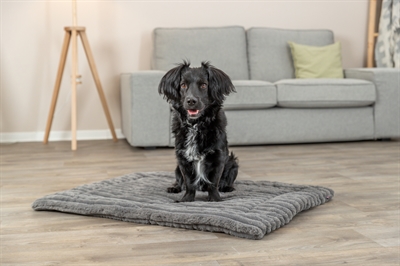 TRIXIE Ligmat Lonni Ribfluweel - Zacht pluche, luxe ligcomfort - Grijs - 90x65 cm