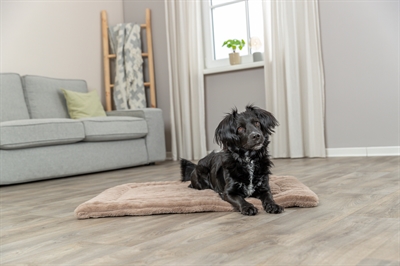 TRIXIE Ligmat Lonni zacht ribfluweel - Lichtbruin - 110x75 cm