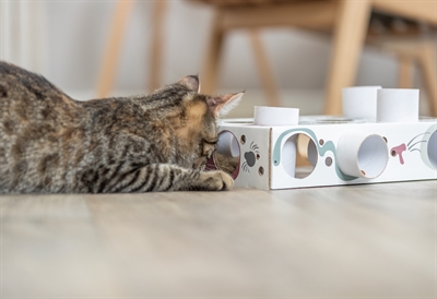 TRIXIE kattenspeeltje Paws'n'Treats Box 35×20 cm – Karton