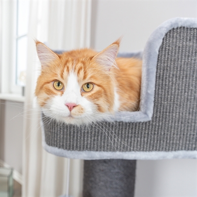 TRIXIE Krabpaal Ava II XXL Grijs 112×112 cm – Voor actieve katten