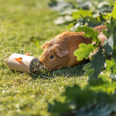 TRIXIE Snack Roll Hout Onbehandeld 6×6×11 cm – Interactief Speelgoed