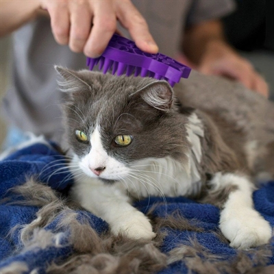 KONG Kattenborstel Zoomgroom Paars 11,5×7×3 cm – Siliconen