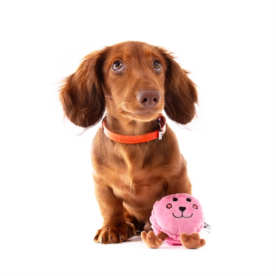 MARTIN hondenknuffel Martin Macaron Pluche 17×8 cm – gerecycled pluche