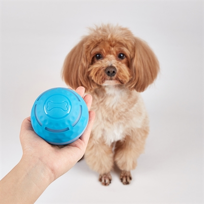 FOFOS hondenrolbal oplaadbaar 8,5×8,5 cm – interactief met licht