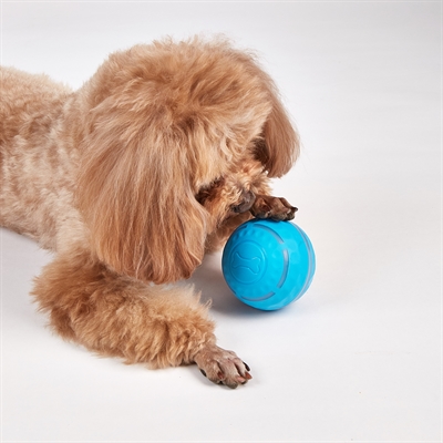 FOFOS hondenrolbal oplaadbaar 8,5×8,5 cm – interactief met licht