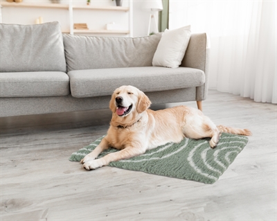 ZOLUX Hondenbed Vetbed Boog Groen 70×50 cm – Antislip, Wasbaar