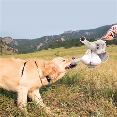 KONG hondenknuffel KONG Stretchezz Legz Beer 27,5×26×13 cm – bruin