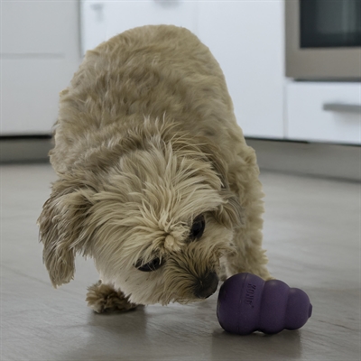 KONG hondenkauwspeeltje KONG SENIOR PAARS 7,5×4,5 cm – SMALL