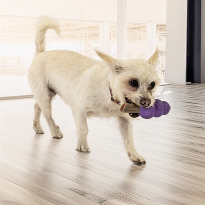 KONG hondenkauwspeeltje KONG SENIOR paars 8,5×5,5 cm – Medium