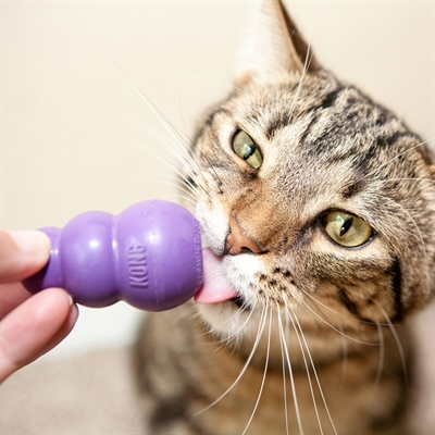 KONG katten speelgoed KONG KITTY KONG 5,5×3,5×3,5 cm – rubber