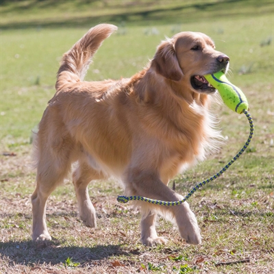 KONG honden speeltje KONG AIRDOG FETCH STICK 81,5×6,5 cm – met touw
