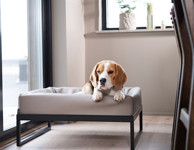 BIA Hondenbedstandaard BIA AIR FRAME 72×62 cm – Zwart