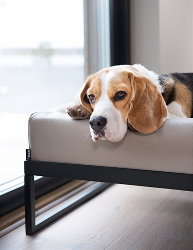 BIA Hondenbedstandaard BIA AIR FRAME 72×62 cm – Zwart